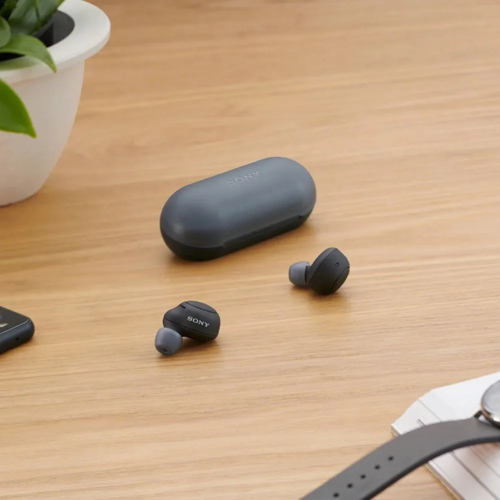 Sony WF-C500 Truly Wireless In-Ear Bluetooth Earbud Headphones